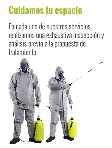 FUMIGACIONES DE PLAGAS, CUCARACHAS, CHINCHES DE CAMA, RATONES
